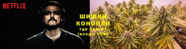 ПСИЛОЦИБИНОВЫЕ ГРИБЫ Баксан