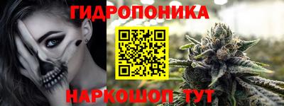 индика Балашиха