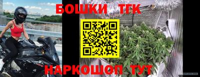 индика Балашиха