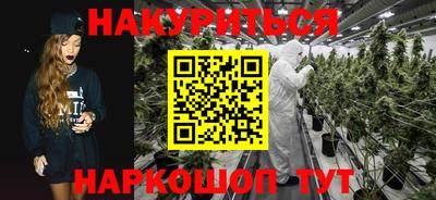 индика Балашиха