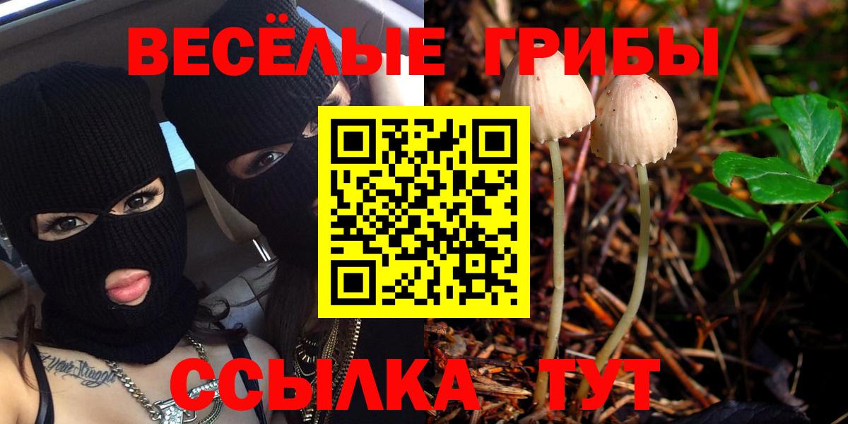 Псилоцибиновые грибы прущие грибы Воркута